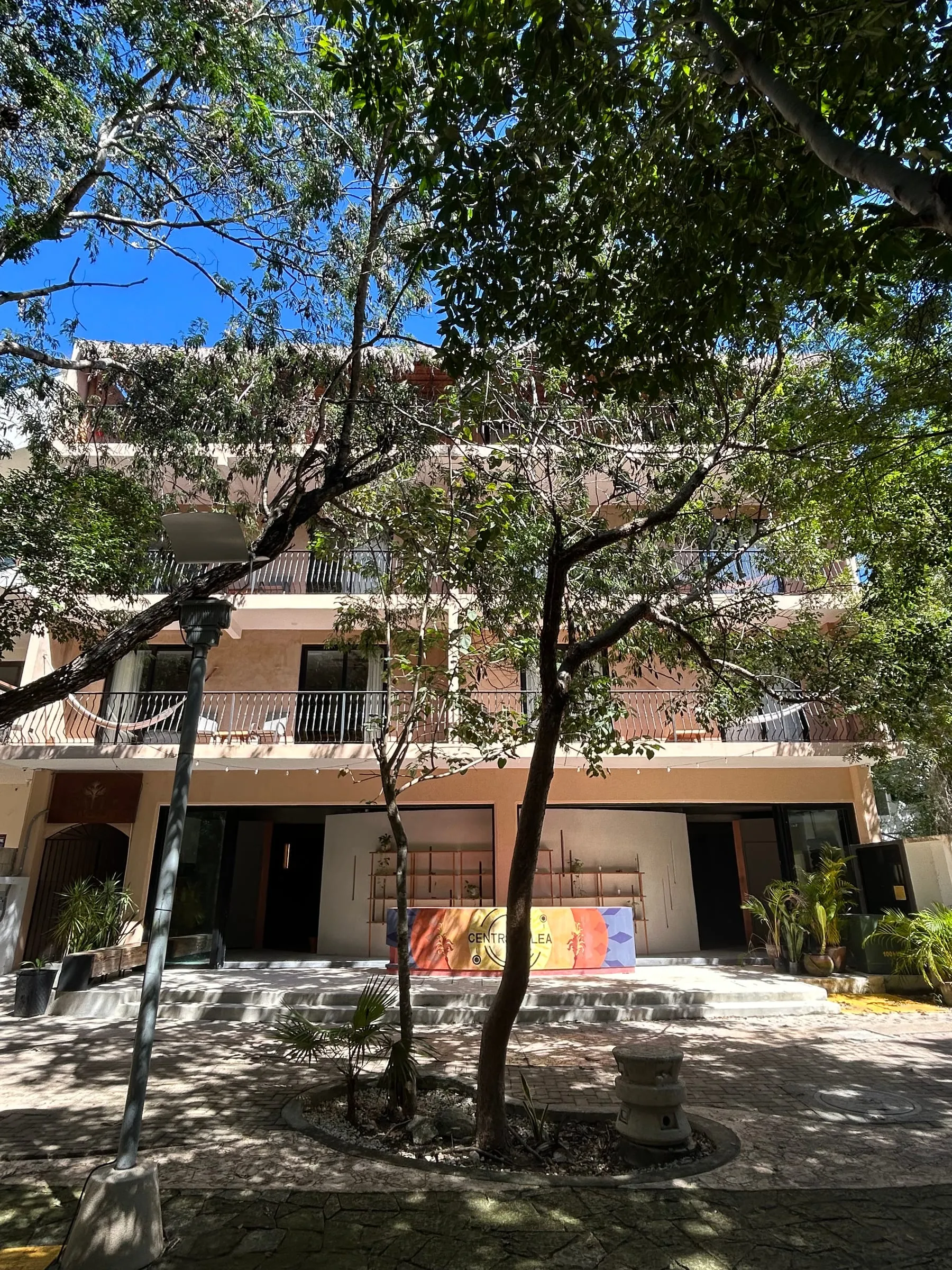 Fachada de dos niveles de Centro Calea entre árboles, en Aldea Zama.